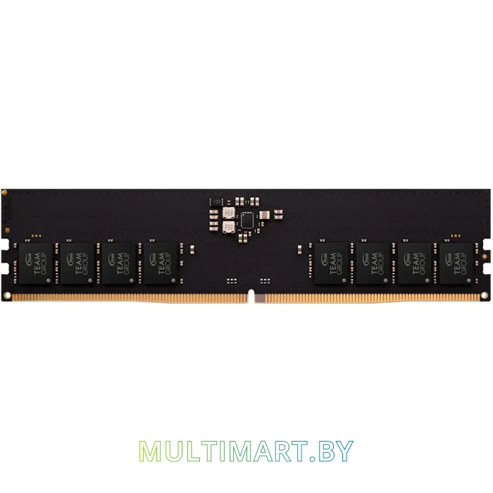 Оперативная память Team Elite 16GB DDR5 PC5-48000 (TED516G5600C4601)
